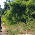 La detección oportuna permitió neutralizar una amenaza que habría puesto en riesgo la vida de civiles, transportadores y miembros de la fuerza pública que transitan por el sector - Foto: Ejército Nacional