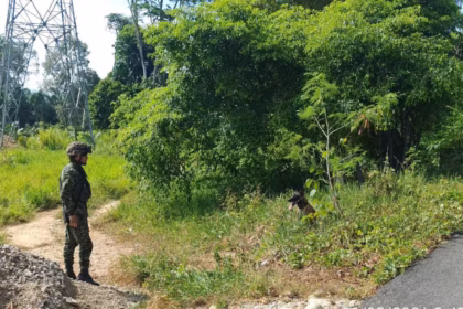La detección oportuna permitió neutralizar una amenaza que habría puesto en riesgo la vida de civiles, transportadores y miembros de la fuerza pública que transitan por el sector - Foto: Ejército Nacional