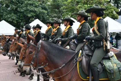 Las patrullas desarrollan recorridos permanentes en áreas de difícil acceso, utilizando caballos como medio de transporte para llegar a veredas y corregimientos alejados donde la presencia institucional suele ser limitada - Foto: Alcaldía de Palmira