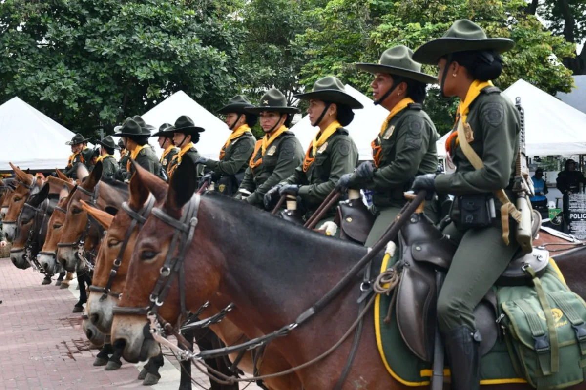 Las patrullas desarrollan recorridos permanentes en áreas de difícil acceso, utilizando caballos como medio de transporte para llegar a veredas y corregimientos alejados donde la presencia institucional suele ser limitada - Foto: Alcaldía de Palmira