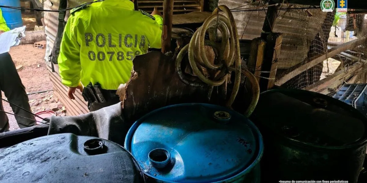 Según la Fiscalía, el grupo interceptaba los vehículos de carga en corredores viales secundarios y posteriormente intimidaba a los conductores con armas de fuego. Una vez bajo control de los delincuentes, los camiones eran desviados hacia inmuebles utilizados para ocultar temporalmente la mercancía sustraída - Foto: Fiscalía General