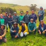 La intervención se desarrolla mediante la conformación de 60 núcleos y 15 franjas de restauración distribuidas en claros, pastizales, rondas hídricas y sectores con vegetación secundaria - Foto: Jardín Botánico José Celestino Mutis