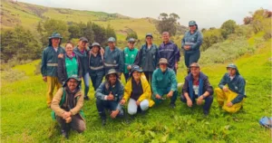 La intervención se desarrolla mediante la conformación de 60 núcleos y 15 franjas de restauración distribuidas en claros, pastizales, rondas hídricas y sectores con vegetación secundaria - Foto: Jardín Botánico José Celestino Mutis