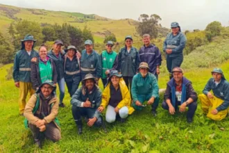 La intervención se desarrolla mediante la conformación de 60 núcleos y 15 franjas de restauración distribuidas en claros, pastizales, rondas hídricas y sectores con vegetación secundaria - Foto: Jardín Botánico José Celestino Mutis