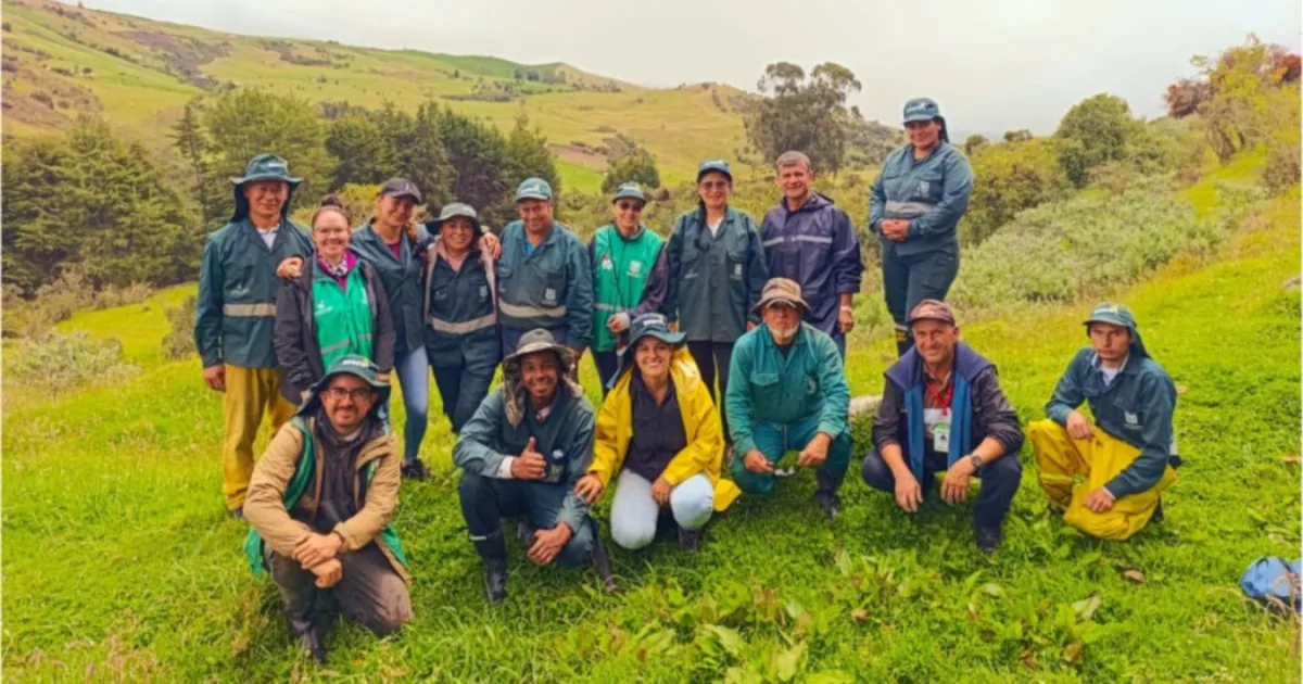 La intervención se desarrolla mediante la conformación de 60 núcleos y 15 franjas de restauración distribuidas en claros, pastizales, rondas hídricas y sectores con vegetación secundaria - Foto: Jardín Botánico José Celestino Mutis