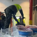 El decomiso fue posible gracias a las labores de perfilamiento adelantadas por el Centro de Análisis y Seguimiento Operacional de Bienes, así como a los procedimientos de inspección realizados sobre contenedores destinados a la exportación - Foto: Policía Nacional