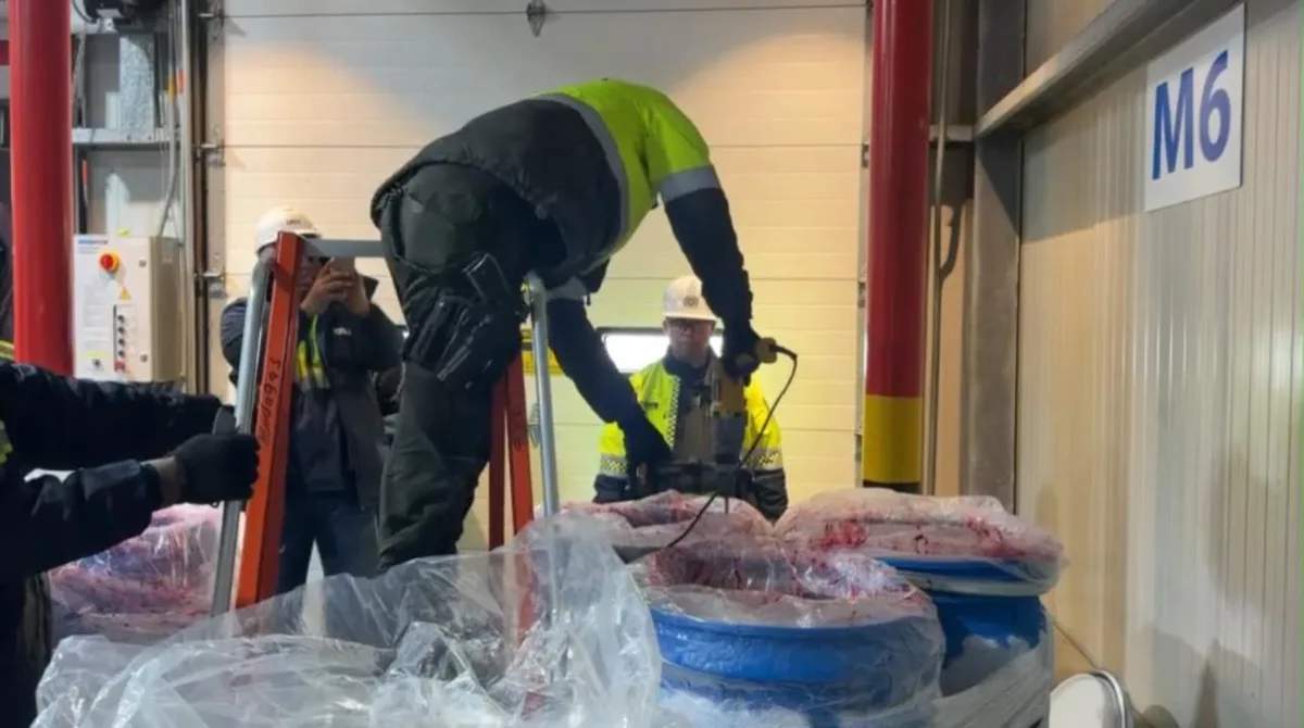 El decomiso fue posible gracias a las labores de perfilamiento adelantadas por el Centro de Análisis y Seguimiento Operacional de Bienes, así como a los procedimientos de inspección realizados sobre contenedores destinados a la exportación - Foto: Policía Nacional