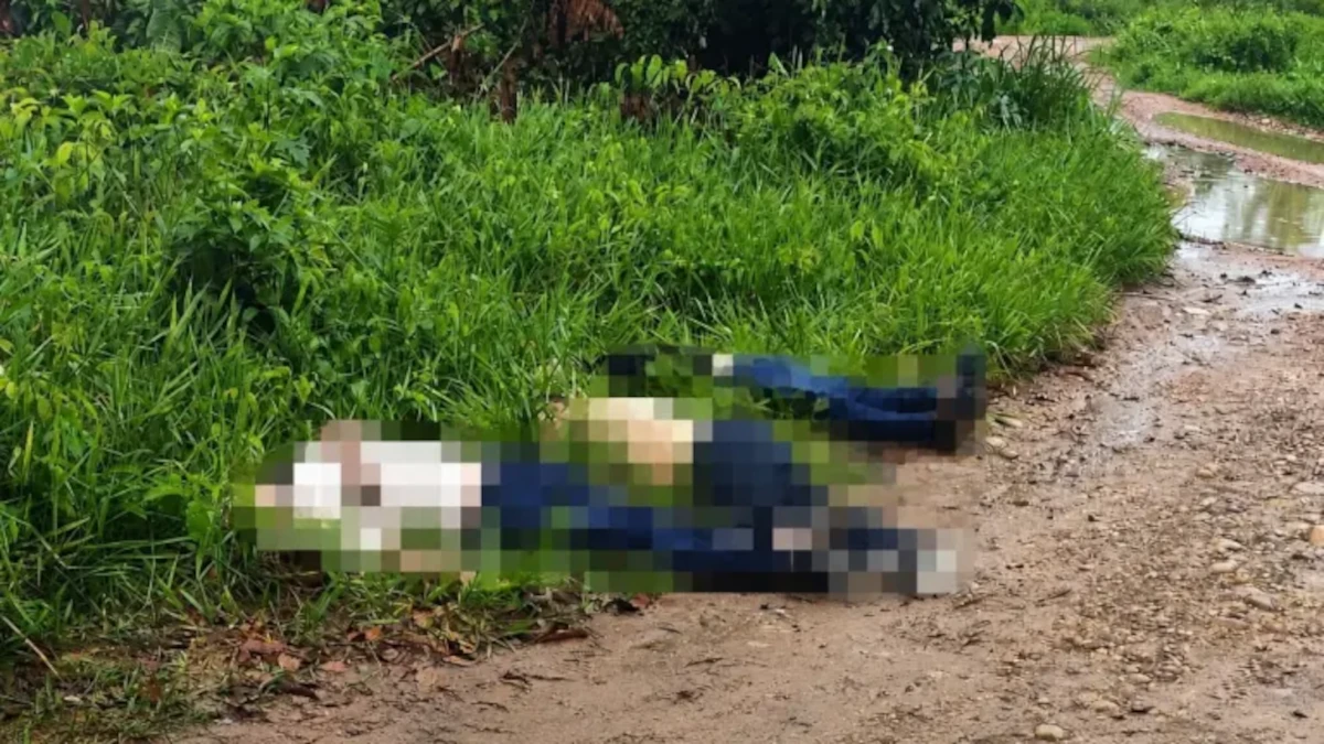 La violencia registrada en esta zona fronteriza ha generado preocupación entre las comunidades rurales, que denuncian la presencia de estructuras armadas ilegales interesadas en el control de corredores utilizados para actividades relacionadas con economías ilícitas y movilidad transfronteriza - Foto: Fiscalía General de la Nación