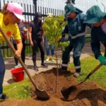 La jornada de recuperación permitió reponer y fortalecer la cobertura vegetal mediante la siembra de especies ornamentales y arbustivas seleccionadas por sus características ecológicas y su capacidad de adaptación al entorno urbano - Foto: Jardín Botánico José Celestino Mutis
