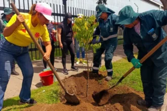 La jornada de recuperación permitió reponer y fortalecer la cobertura vegetal mediante la siembra de especies ornamentales y arbustivas seleccionadas por sus características ecológicas y su capacidad de adaptación al entorno urbano - Foto: Jardín Botánico José Celestino Mutis