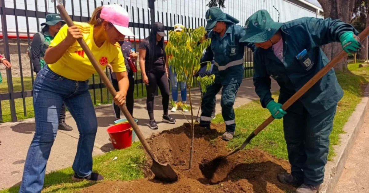 La jornada de recuperación permitió reponer y fortalecer la cobertura vegetal mediante la siembra de especies ornamentales y arbustivas seleccionadas por sus características ecológicas y su capacidad de adaptación al entorno urbano - Foto: Jardín Botánico José Celestino Mutis