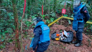 Las labores fueron desarrolladas por la Brigada de Ingenieros de Desminado Humanitario, unidad encargada de adelantar operaciones para identificar y eliminar amenazas relacionadas con minas antipersona y otros artefactos explosivos - Foto: Brigada de Desminado Humanitario
