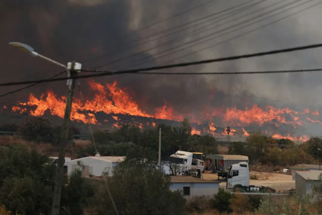 El fuego afectó principalmente los municipios de Los Gallardos, Turre y Lubrín, en la comarca del Levante almeriense, donde miles de hectáreas de monte, cultivos y áreas naturales quedaron completamente devastadas. Las llamas también destruyeron viviendas, explotaciones agrícolas e infraestructura rural, dejando importantes pérdidas económicas para la región - Foto: X/@24_Morelos