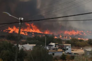 El fuego afectó principalmente los municipios de Los Gallardos, Turre y Lubrín, en la comarca del Levante almeriense, donde miles de hectáreas de monte, cultivos y áreas naturales quedaron completamente devastadas. Las llamas también destruyeron viviendas, explotaciones agrícolas e infraestructura rural, dejando importantes pérdidas económicas para la región - Foto: X/@24_Morelos