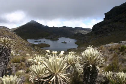 El proyecto plantea una delimitación progresiva, es decir, avanzar por etapas en la definición del área protegida mientras continúan los procesos de concertación pendientes. Con ello, el Gobierno busca evitar los problemas jurídicos que llevaron a la anulación de delimitaciones anteriores por falta de participación efectiva de las comunidades involucradas - Foto: Corponor
