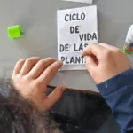El propósito de la estrategia no se limitó al aprendizaje dentro del aula. El Jardín Botánico busca que los estudiantes se conviertan en portavoces ambientales capaces de compartir con sus familias, vecinos y comunidades los conocimientos adquiridos sobre la protección de las plantas, los jardines y los ecosistemas urbanos - Foto: Jardín Botánico de Bogotá