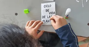 El propósito de la estrategia no se limitó al aprendizaje dentro del aula. El Jardín Botánico busca que los estudiantes se conviertan en portavoces ambientales capaces de compartir con sus familias, vecinos y comunidades los conocimientos adquiridos sobre la protección de las plantas, los jardines y los ecosistemas urbanos - Foto: Jardín Botánico de Bogotá