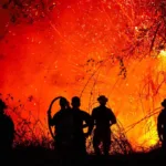 Tolima concentra la mayor parte de los incendios activos. Entre las emergencias se encuentra el incendio en Suárez, en el sector de Cerro Las Mercedes, así como el registrado en San Luis, en el área del CENOP, Campoalegre - Foto: Gobernación del Tolima