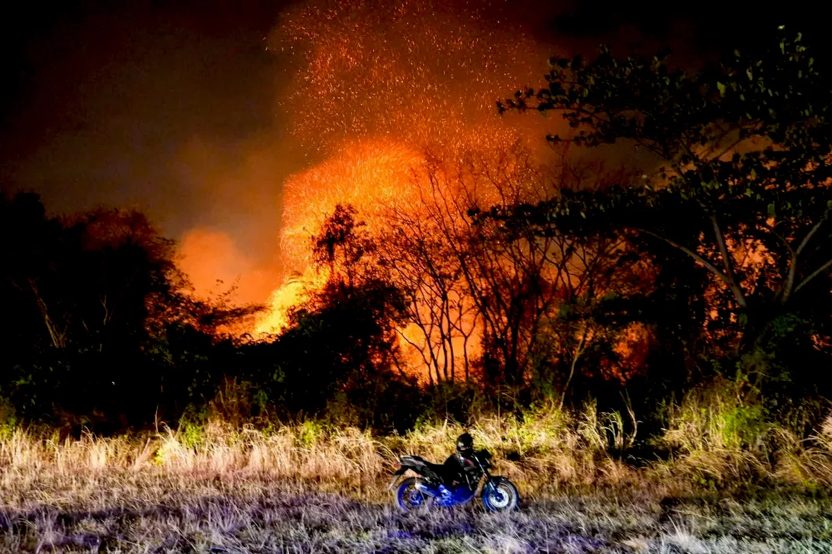 Tolima continúa siendo el departamento con mayor número de emergencias activas. Allí permanecen bajo seguimiento los incendios en Suárez, San Luis, Armero, Coello y Guamo, en diferentes sectores rurales y zonas de cobertura vegetal - Foto: Gobernación de Tolima