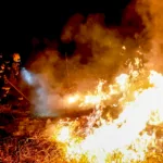 El departamento del Tolima concentra la mayor parte de las emergencias que continúan activas. De los 12 incendios forestales que permanecen en seguimiento, 11 se encuentran en municipios tolimenses, mientras que el otro se registra en Cundinamarca - Foto: Gobernación del Tolima