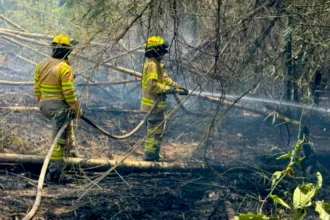 El combate de los incendios también ha contado con apoyo desde el aire. Según el reporte de la Alcaldía de Bogotá, aeronaves de la Policía Nacional y la Fuerza Aérea Colombiana han realizado 371 descargas, que en conjunto representan 182.075 galones de agua utilizados para enfrentar las llamas - Foto: Bomberos de Bogotá