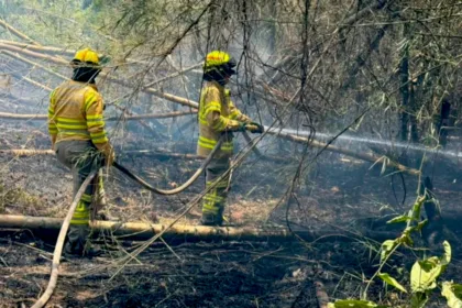 El combate de los incendios también ha contado con apoyo desde el aire. Según el reporte de la Alcaldía de Bogotá, aeronaves de la Policía Nacional y la Fuerza Aérea Colombiana han realizado 371 descargas, que en conjunto representan 182.075 galones de agua utilizados para enfrentar las llamas - Foto: Bomberos de Bogotá