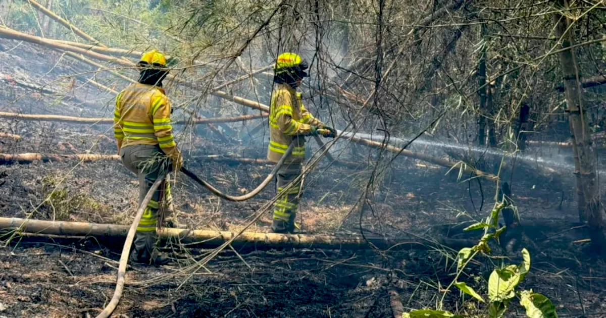 El combate de los incendios también ha contado con apoyo desde el aire. Según el reporte de la Alcaldía de Bogotá, aeronaves de la Policía Nacional y la Fuerza Aérea Colombiana han realizado 371 descargas, que en conjunto representan 182.075 galones de agua utilizados para enfrentar las llamas - Foto: Bomberos de Bogotá