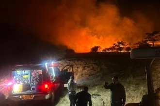 Tolima concentra la mayor parte de las emergencias, con cuatro incendios activos localizados en Suárez, Cunday, Carmen de Apicalá y Alvarado. El departamento continúa siendo el principal foco de atención de las autoridades nacionales y territoriales - Foto: Ministerio del Interior