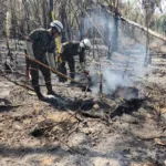 En Cesar, los incendios se concentran principalmente en zonas rurales y en ecosistemas de la Serranía del Perijá. Los focos activos identificados por la Defensoría están en Chiriguaná, Curumaní, La Jagua de Ibirico y San Diego, municipios donde las autoridades solicitaron apoyo adicional para fortalecer las labores de control y extinción - Foto: Gobernación del Cesar