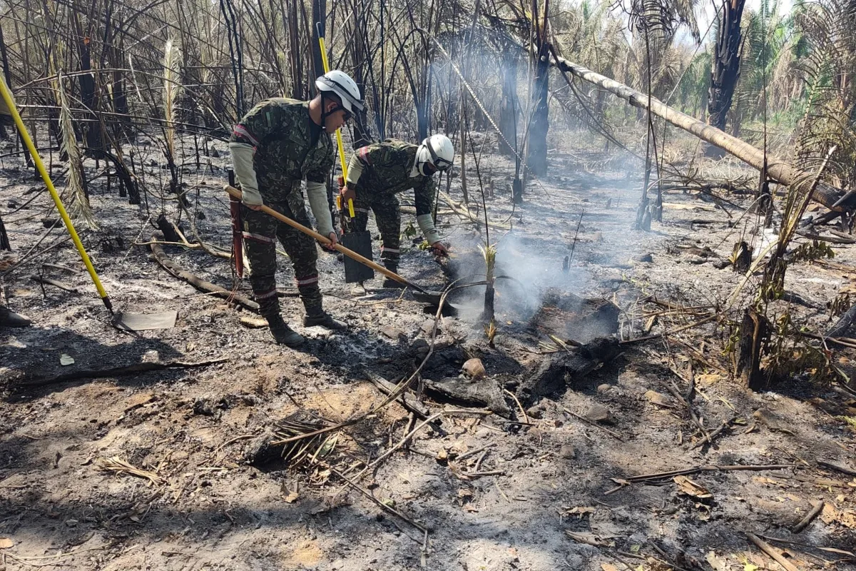 En Cesar, los incendios se concentran principalmente en zonas rurales y en ecosistemas de la Serranía del Perijá. Los focos activos identificados por la Defensoría están en Chiriguaná, Curumaní, La Jagua de Ibirico y San Diego, municipios donde las autoridades solicitaron apoyo adicional para fortalecer las labores de control y extinción - Foto: Gobernación del Cesar