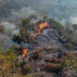 Tolima concentra la mayor cantidad de emergencias, con 11 incendios activos distribuidos en diferentes municipios. Las autoridades y organismos de socorro mantienen operaciones terrestres y aéreas para contener los focos y evitar que las llamas continúen extendiéndose - Foto: X/@ROCHIGALEANO