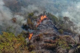 Tolima concentra la mayor cantidad de emergencias, con 11 incendios activos distribuidos en diferentes municipios. Las autoridades y organismos de socorro mantienen operaciones terrestres y aéreas para contener los focos y evitar que las llamas continúen extendiéndose - Foto: X/@ROCHIGALEANO