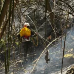 En Tolima permanecen activos incendios en Suárez, San Luis, Armero, Coello, Guamo, Ambalema, Ataco, Lérida, Rovira, Purificación y Carmen de Apicalá - Foto: Ejército Nacional