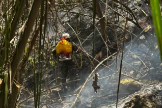 En Tolima permanecen activos incendios en Suárez, San Luis, Armero, Coello, Guamo, Ambalema, Ataco, Lérida, Rovira, Purificación y Carmen de Apicalá - Foto: Ejército Nacional