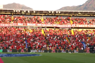 El caso más concreto es el del Estadio Nemesio Camacho El Campín, en Bogotá, que actualmente está siendo utilizado como centro de acopio para recibir ayudas destinadas a los damnificados. El escenario, uno de los principales referentes del fútbol colombiano, pasó temporalmente de recibir aficionados a convertirse en un punto para recolectar elementos necesarios para la atención de la emergencia - Foto: Archivo/Ronald Cano