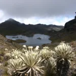Los ambientalistas también advierten sobre el principio de no regresión en materia ambiental. Desde esa perspectiva, una decisión estatal que reduzca un nivel de protección ya existente debe tener una justificación especialmente sólida y sustentarse en criterios técnicos, pues el debate no se limita a definir dónde puede realizarse minería, sino a determinar qué medidas son necesarias para prevenir daños que pueden resultar difíciles o imposibles de revertir - Foto: Corponor