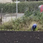 El Gobierno de Petro ha defendido las APPA como una herramienta de planificación territorial que permite conservar la capacidad productiva de las regiones y garantizar el abastecimiento de alimentos. Desde esta perspectiva, la protección de los suelos rurales debe tener un carácter estratégico, especialmente ante los efectos del cambio climático, las sequías y las transformaciones ambientales que amenazan la producción agrícola - Foto: Archivo/Ronald Cano