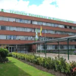 El centro de la polémica está en el lenguaje que debe utilizar una institución cuya misión está directamente relacionada con la garantía y protección de los derechos de niños, niñas y adolescentes en Colombia - Foto: Friedinand