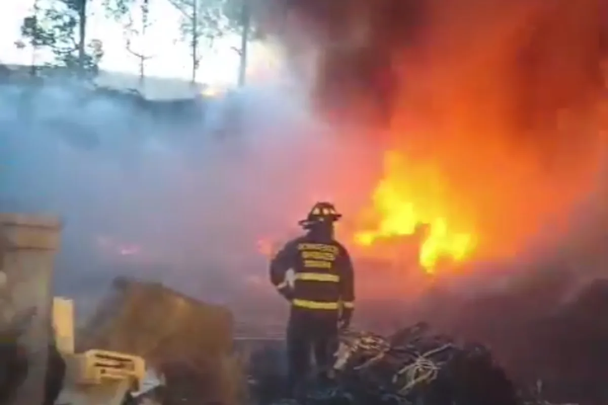 Los incendios registrados en Nilo, Soacha y Sibaté continúan activos y son atendidos por los equipos operativos del departamento. En estos municipios participan los cuerpos de bomberos, la Defensa Civil, el Ejército Nacional, Empresas Públicas de Cundinamarca y otras entidades que hacen parte del sistema de gestión del riesgo - Foto: Defensa Civil