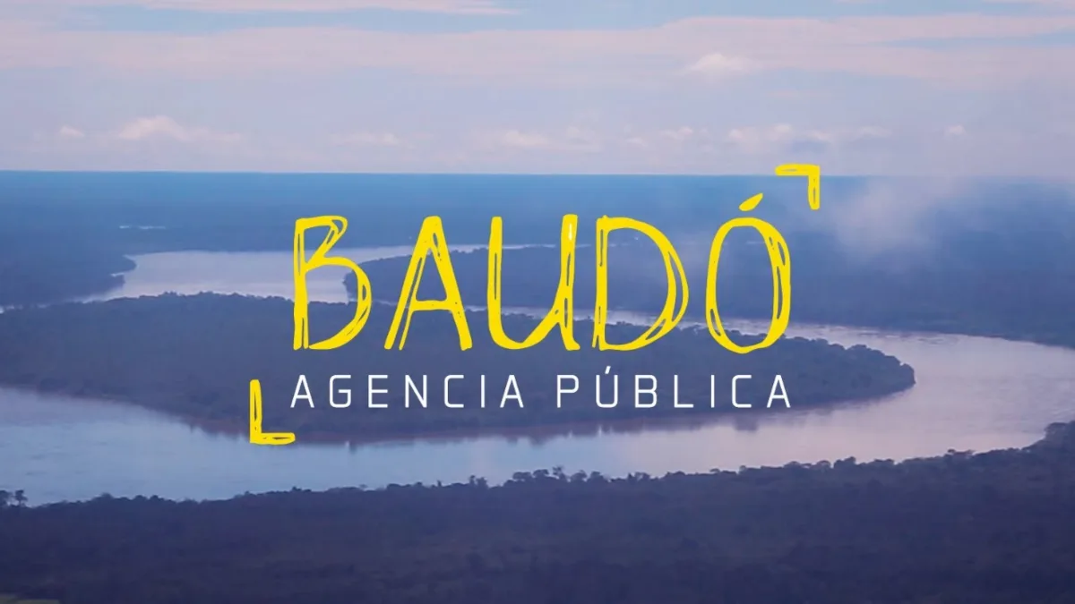 Entre los temas que la periodista identifica como parte de ese contexto están los retos ambientales del presidente electo Abelardo de la Espriella y los posibles impactos de sus propuestas en esta materia. La FLIP recoge esta versión, pero no atribuye la amenaza a una persona, organización criminal o sector político específico - Foto: Baudó AP