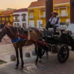 El caso tenía una particular relevancia para Cartagena, donde durante años los coches de caballos hicieron parte de la oferta turística del Centro Histórico. La ciudad ya había avanzado en la sustitución de estos vehículos por alternativas eléctricas cuando acudió a la Corte para cuestionar la excepción nacional - Foto: tur.com