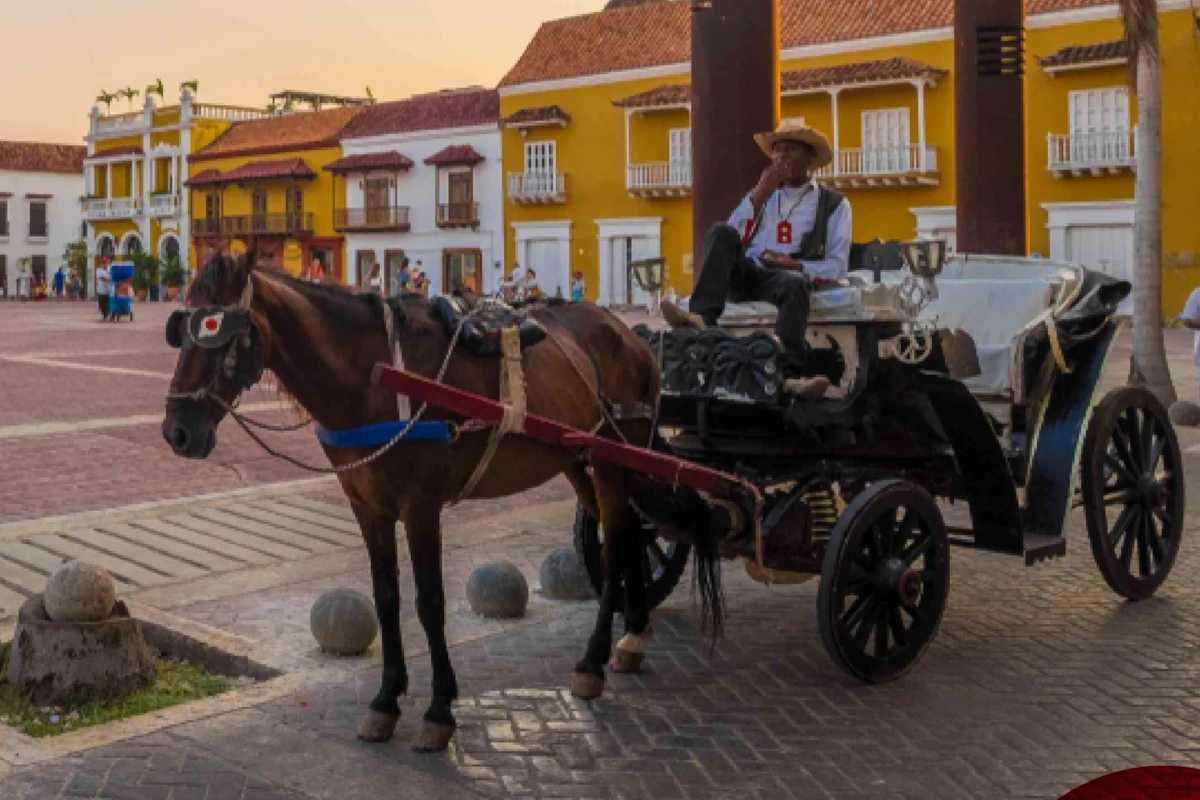 El caso tenía una particular relevancia para Cartagena, donde durante años los coches de caballos hicieron parte de la oferta turística del Centro Histórico. La ciudad ya había avanzado en la sustitución de estos vehículos por alternativas eléctricas cuando acudió a la Corte para cuestionar la excepción nacional - Foto: tur.com
