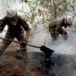 En Tolima, los incendios activos se encuentran en Cunday, Ortega, Coyaima, Natagaima, Ibagué y San Luis. Ortega registra dos emergencias, ubicadas en la vereda Llano de Olaya y el sector Yucalabaja - Foto: X/@IngenierosEJC