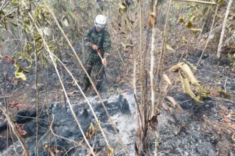 Tolima concentra cuatro de los cinco incendios activos. En Cunday, las llamas afectan las veredas Páramo y California; en Chaparral, la vereda Tunulí; mientras que en Ortega se presentan dos emergencias, una en la vereda Llano de Olaya y otra en el sector Yucalabaja - Foto: X/@Ingenieros_EJC