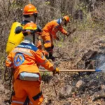 Tolima concentra cinco incendios activos, ubicados en Cunday, Coyaima, Natagaima, Ibagué y San Luis. En Cunday, la emergencia afecta las veredas Páramo y California y es atendida por la Defensa Civil y el Ejército Nacional, con la BIADE 81 – APOLO 2 y apoyo de un helicóptero UH-60 de la Fuerza Aeroespacial Colombiana - Foto: Defensa Civil Colombia