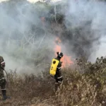 En Valle del Cauca, Yumbo mantiene un incendio forestal activo en el sector Cerro Gordo y Dapa - Foto: Ejército Nacional