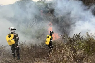 En Valle del Cauca, Yumbo mantiene un incendio forestal activo en el sector Cerro Gordo y Dapa - Foto: Ejército Nacional