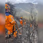 En Santander permanece activo un incendio en Tona, en la vereda Tembladal, sector Las Cruces. En las labores participan los cuerpos de bomberos de Tona, Vetas y Matanza, además de una brigada del Acueducto Metropolitano y habitantes de la zona - Foto: Defensa Civil Colombiana