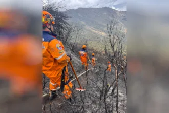 En Santander permanece activo un incendio en Tona, en la vereda Tembladal, sector Las Cruces. En las labores participan los cuerpos de bomberos de Tona, Vetas y Matanza, además de una brigada del Acueducto Metropolitano y habitantes de la zona - Foto: Defensa Civil Colombiana