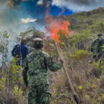 La respuesta se ha concentrado en varios frentes terrestres. Según el reporte de la Unidad Departamental para la Gestión del Riesgo, alrededor de 250 integrantes de organismos de socorro y fuerza pública participan en las labores, apoyados por aproximadamente 100 voluntarios de la comunidad - Foto: Quinta División del Ejército Nacional